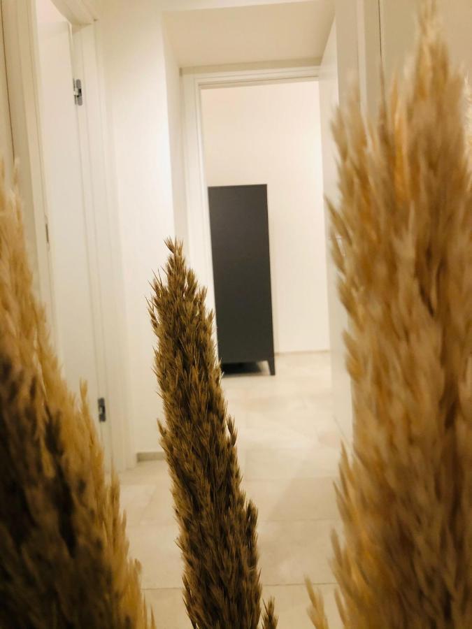 Bed and Breakfast L Antico Forno Bari Centro Storico Zewnętrze zdjęcie